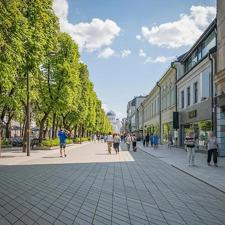 Avenue
